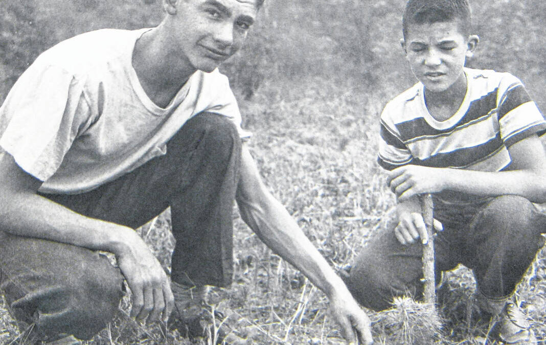Throwback: 4-H Tree Planting
